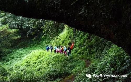 两会好声音丨李少波:以文化与科技双向赋能打造湖南万亿级文化产业集群